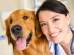 Veterinária